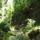 Dscf0748-001_1192563_5195_t