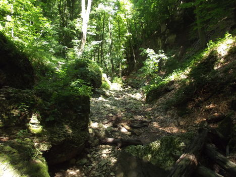 DSCF0749