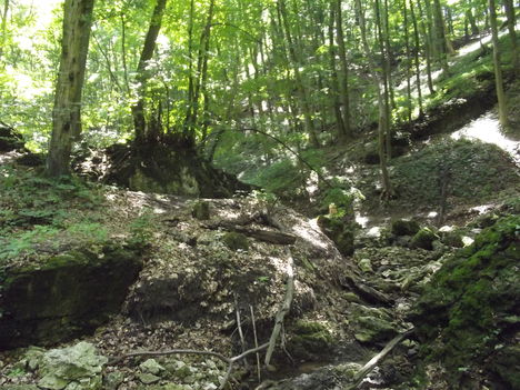 DSCF0750