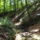 Dscf0760_1192549_6899_t