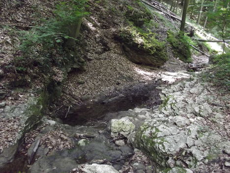 DSCF0762