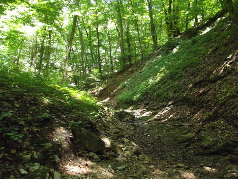 DSCF0765