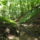 Dscf0765_1192574_1108_t