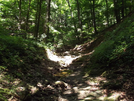 DSCF0766