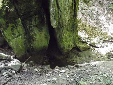 DSCF0768