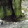 Dscf0768_1192552_7412_t