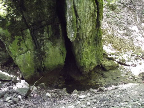 DSCF0769