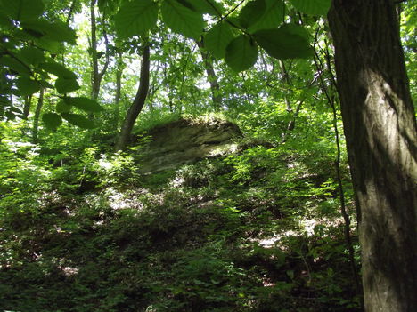 DSCF0774