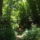 Dscf0777_1192582_4400_t