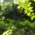 Dscf0782_1192690_2480_t