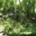 Dscf0784_1192718_4468_t