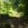 Dscf0785_1192717_1996_t