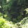 Dscf0787_1192747_6857_t