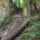 Dscf0791_1192675_7662_t