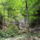 Dscf0792_1192704_8125_t
