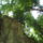 Dscf0795_1192705_1569_t