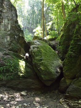 DSCF0801