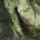Dscf0807_1192682_7481_t