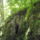 Dscf0812_1192710_4130_t