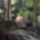 Dscf0818_1192692_7752_t