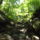 Dscf0835_1192716_9427_t