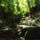 Dscf0842_1192665_2975_t