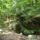 Dscf0853_1192660_7893_t
