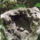 Dscf0860_1192670_9321_t