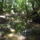 Dscf0862_1192685_1727_t