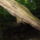 Dscf0877_1192680_9072_t