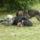 Falunap_183_1192216_1604_t