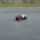 Falunap_230_1192982_4950_t