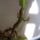 Naplemente_berci_es_artatlan_aldozata_el_13_1192853_1240_t