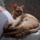 Naplemente_berci_es_artatlan_aldozata_el_15_1192855_8414_t