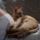 Naplemente_berci_es_artatlan_aldozata_el_3_1192840_7926_t