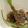 Naplemente_berci_es_artatlan_aldozata_el_9_1192849_9874_t
