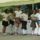 Falunap_259_1193332_8720_t