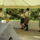 Falunap_267_1193342_4638_t