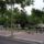 Seta_az_egyetem_kornyeken__park_palmafakkal_1193517_3983_t