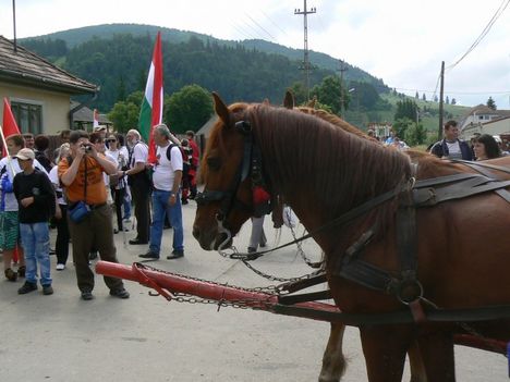 Csiksomlyo es kornyeke 2