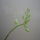 Nyar___14_1198584_4107_t