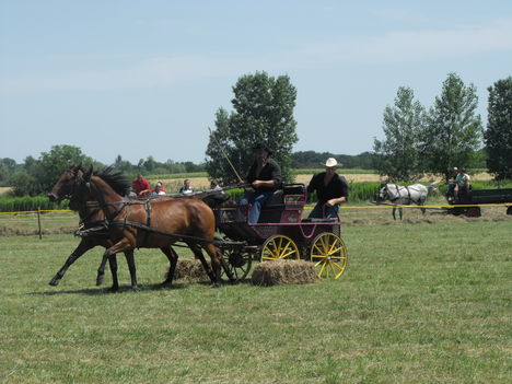 2011lókötők 27