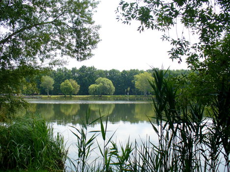 Vekeri-tó