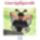 Beolvasas0001_1019493_6727_t