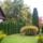 Diszfu_1019416_1781_t