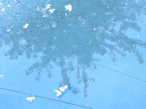 IMAG0013