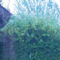 IMAG0015