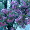 IMAG0019