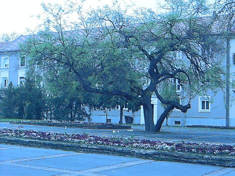 IMAG0023