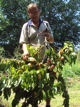 kertünkből 2011